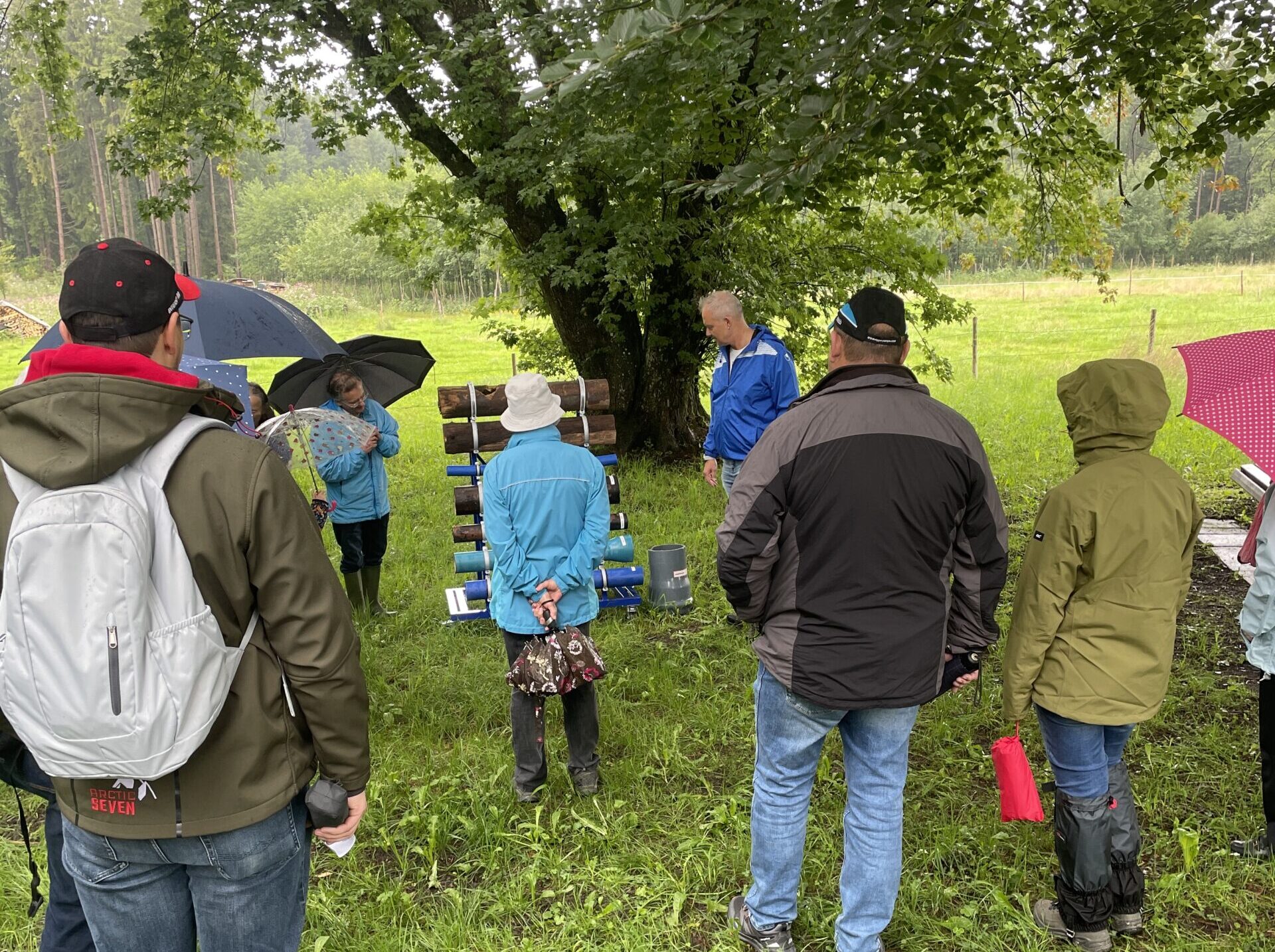Wasserlauf der Stadtwerke Bad Wörishofen begeistert trotz wechselhaftem Wetter